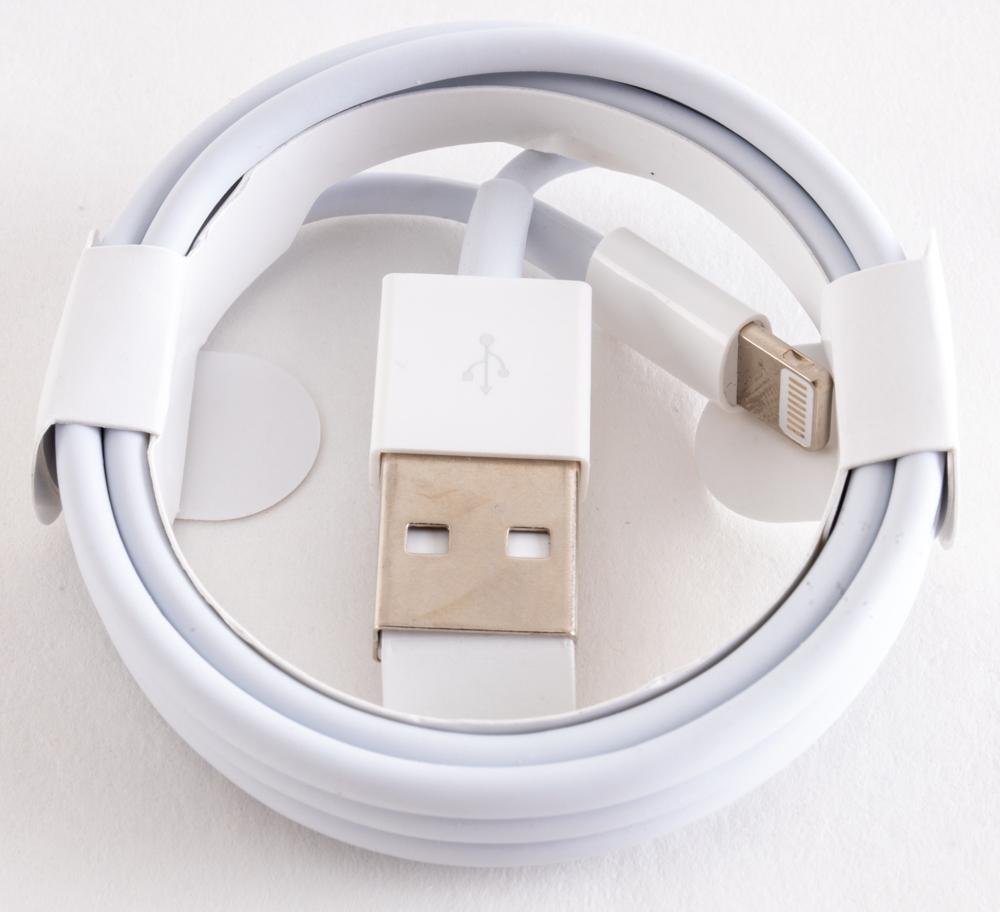 Genuine Apple Lightning to USB Cable 3ft (1 m)